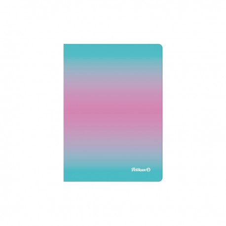 CAIET A6 COLOR EDITION 80 FILE, HARTIE 70G/MP, PATRATELE, CULOARE ROZ/MENTA