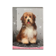 Caiet TIP2, 36 file, 80gr./mp, coperta carton 300gsm, design sweet pets