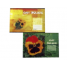 CAIET BIOLOGIE 16 FILE, DIAMOND LINE