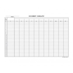 DOCUMENT CUMULATIV ORIZONTAL A4