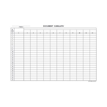 DOCUMENT CUMULATIV ORIZONTAL A4